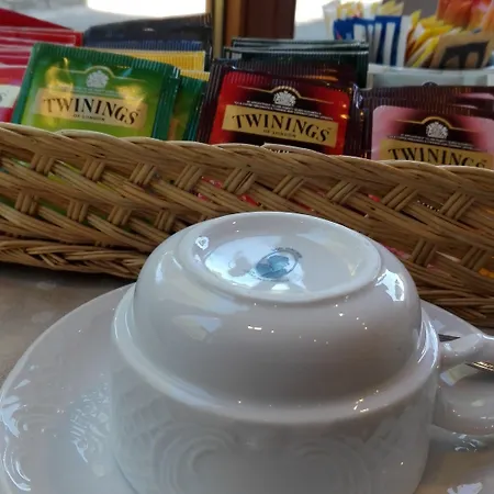 酒店 阿科迪塔沃蒂诺酒店 罗马