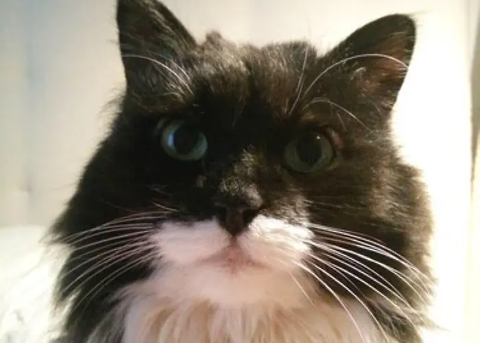 Arco Di Travertino Hotel Rome