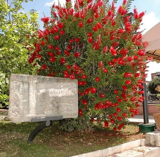 Arco Di Travertino Rome